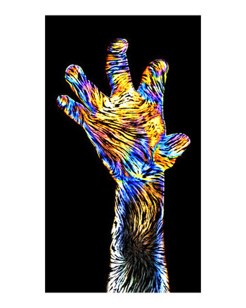 Rainbow Hand