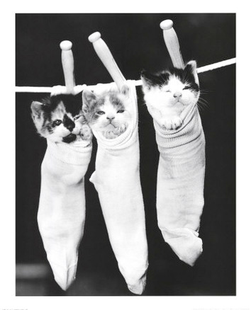 Pin Ups