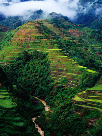 Rice Terraces Around Banaue, Banaue, Philippines